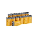 Amazon Basics 12-PACK 9V Long-lasting Alkaline Batteries, 5-YEAR New. Price: $25.77.