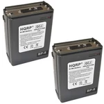 2-PACK 1600MAH Battery For Realistic Radio Shack HTX-202 / HTX-404 Two Way New. Price: $49.95.